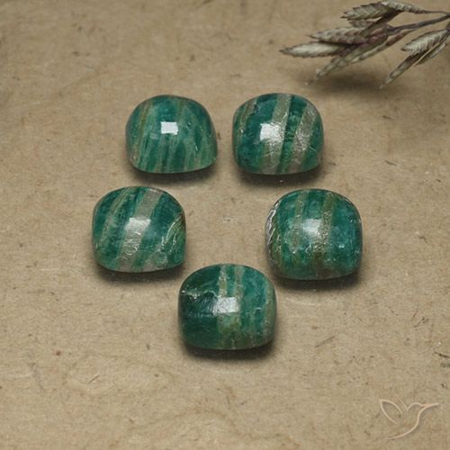 9.24ctw Naturel Vert pin Amazonite, Coussin, Opaque