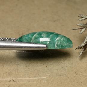 Amazonite bleu-vert naturelle marquise, 8,31 ct, opaque