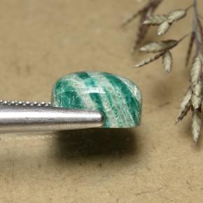 Amazonite vert frais naturelle coupe coussin, 5,96 ct, opaque