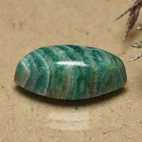 Amazonite vert pin naturelle marquise, 6,80 ct, opaque