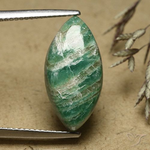 Amazonite Vert pin frais naturelle Marquise, 6.79 ct, Opaque
