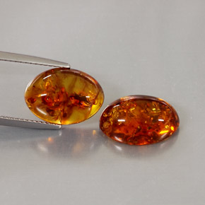 Achetez naturel ct orange ambre gems, transparent, en provenance pologne chez gemselect. en stock, livraison internationale!