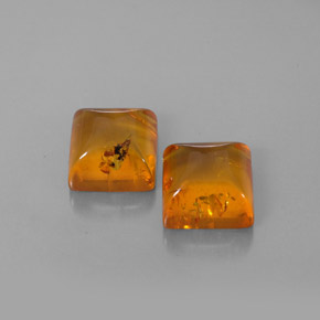 Achetez naturel ct orange ambre gems, transparent, en provenance pologne chez gemselect. en stock, livraison internationale!