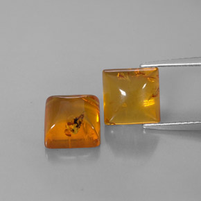 Achetez naturel ct orange ambre gems, transparent, en provenance pologne chez gemselect. en stock, livraison internationale!