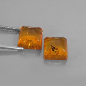 Achetez naturel ct orange ambre gems, transparent, en provenance pologne chez gemselect. en stock, livraison internationale!