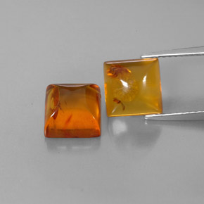 Achetez naturel ct orange ambre gems, transparent, en provenance pologne chez gemselect. en stock, livraison internationale!
