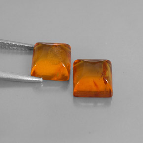 Achetez naturel ct orange ambre gems, transparent, en provenance pologne chez gemselect. en stock, livraison internationale!