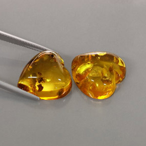 Achetez naturel ct orange ambre gems, transparent, en provenance pologne chez gemselect. en stock, livraison internationale!