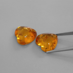 Achetez naturel ct orange ambre gems, transparent, en provenance pologne chez gemselect. en stock, livraison internationale!