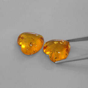 Achetez naturel ct orange ambre gems, transparent, en provenance pologne chez gemselect. en stock, livraison internationale!