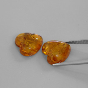 Achetez naturel ct orange ambre gems, transparent, en provenance pologne chez gemselect. en stock, livraison internationale!