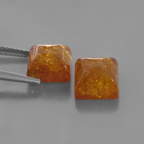 Achetez naturel ct orange ambre gems, transparent, en provenance pologne chez gemselect. en stock, livraison internationale!