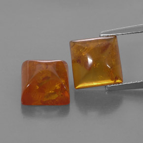 Achetez naturel ct orange ambre gems, transparent, en provenance pologne chez gemselect. en stock, livraison internationale!