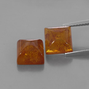 Achetez naturel ct orange ambre gems, transparent, en provenance pologne chez gemselect. en stock, livraison internationale!