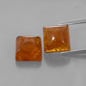 Achetez naturel ct orange ambre gems, transparent, en provenance pologne chez gemselect. en stock, livraison internationale!