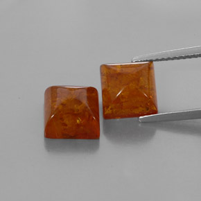 Achetez naturel ct orange ambre gems, transparent, en provenance pologne chez gemselect. en stock, livraison internationale!