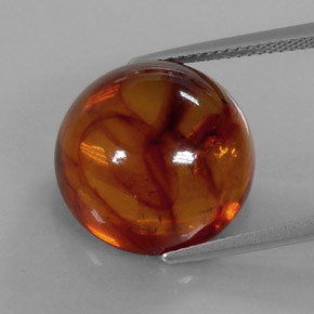 Ambre orange naturelle transparent, 6,20 ct, transparent / translucide