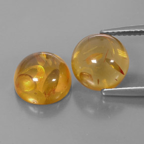 Achetez naturel ct orange ambre gems, transparent, en provenance pologne chez gemselect. en stock, livraison internationale!