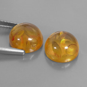 Achetez naturel ct orange ambre gems, transparent, en provenance pologne chez gemselect. en stock, livraison internationale!