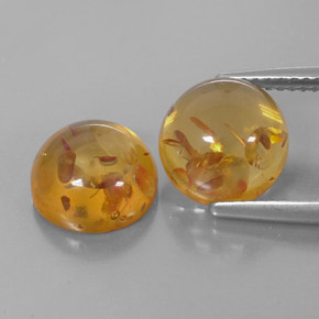 Achetez naturel ct Jaune orange Ambre gems, Transparent, En provenance Pologne chez GemSelect. En stock, livraison internationale!