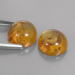 Achetez naturel ct Jaune orange Ambre gems, Transparent, En provenance Pologne chez GemSelect. En stock, livraison internationale!