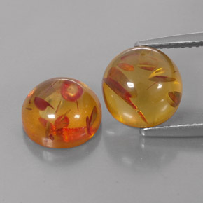 Achetez naturel ct orange ambre gems, transparent, en provenance pologne chez gemselect. en stock, livraison internationale!