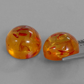 Achetez naturel ct orange ambre gems, transparent, en provenance pologne chez gemselect. en stock, livraison internationale!