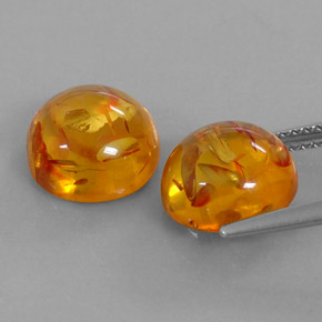 Achetez naturel ct orange ambre gems, transparent, en provenance pologne chez gemselect. en stock, livraison internationale!