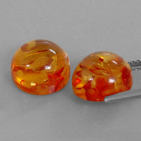 Achetez naturel ct orange ambre gems, transparent, en provenance pologne chez gemselect. en stock, livraison internationale!