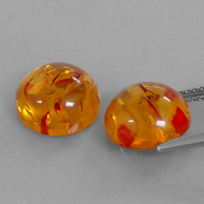 Achetez naturel ct orange ambre gems, transparent, en provenance pologne chez gemselect. en stock, livraison internationale!