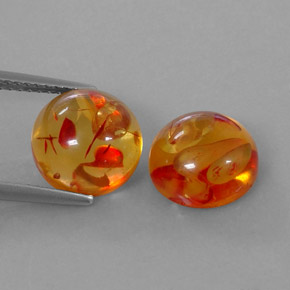 Achetez naturel ct orange ambre gems, transparent, en provenance pologne chez gemselect. en stock, livraison internationale!