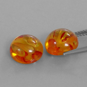 Achetez naturel ct orange ambre gems, transparent, en provenance pologne chez gemselect. en stock, livraison internationale!