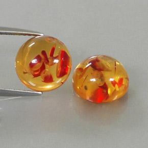 Achetez naturel ct orange ambre gems, transparent, en provenance pologne chez gemselect. en stock, livraison internationale!