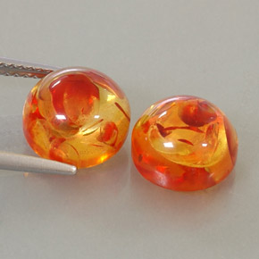 Achetez naturel ct Jaune orange Ambre gems, Transparent, En provenance Pologne chez GemSelect. En stock, livraison internationale!