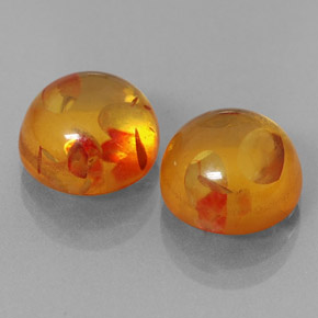 Achetez naturel ct orange ambre gems, transparent, en provenance pologne chez gemselect. en stock, livraison internationale!