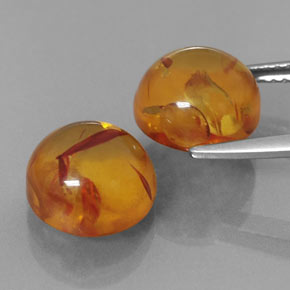 Achetez naturel ct orange ambre gems, transparent, en provenance pologne chez gemselect. en stock, livraison internationale!