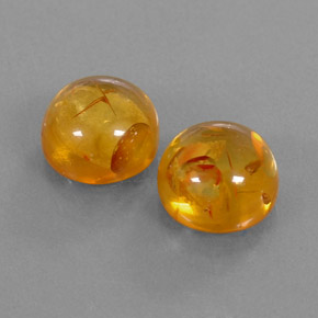 Achetez naturel ct orange ambre gems, transparent, en provenance pologne chez gemselect. en stock, livraison internationale!