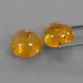 Achetez naturel ct orange ambre gems, transparent, en provenance pologne chez gemselect. en stock, livraison internationale!