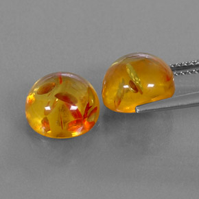 Achetez naturel ct orange ambre gems, transparent, en provenance pologne chez gemselect. en stock, livraison internationale!