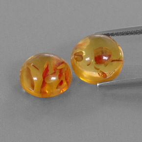 Achetez naturel ct orange ambre gems, transparent, en provenance pologne chez gemselect. en stock, livraison internationale!