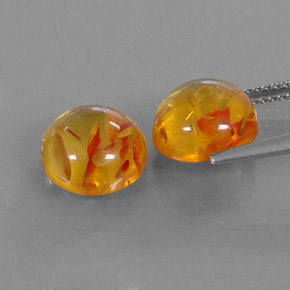 Achetez naturel ct orange ambre gems, transparent, en provenance pologne chez gemselect. en stock, livraison internationale!