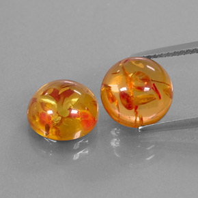 Achetez naturel ct orange ambre gems, transparent, en provenance pologne chez gemselect. en stock, livraison internationale!