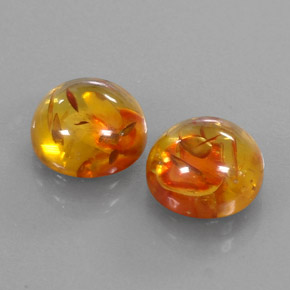 Achetez naturel ct orange ambre gems, transparent, en provenance pologne chez gemselect. en stock, livraison internationale!