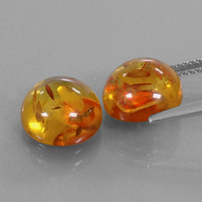 Achetez naturel ct orange ambre gems, transparent, en provenance pologne chez gemselect. en stock, livraison internationale!