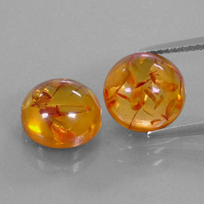 Achetez naturel ct orange ambre gems, transparent, en provenance pologne chez gemselect. en stock, livraison internationale!