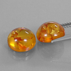 Achetez naturel ct orange ambre gems, transparent, en provenance pologne chez gemselect. en stock, livraison internationale!