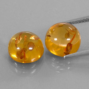 Achetez naturel ct orange ambre gems, transparent, en provenance pologne chez gemselect. en stock, livraison internationale!