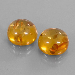 Achetez naturel ct orange ambre gems, transparent, en provenance pologne chez gemselect. en stock, livraison internationale!