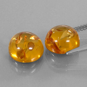 Achetez naturel ct orange ambre gems, transparent, en provenance pologne chez gemselect. en stock, livraison internationale!