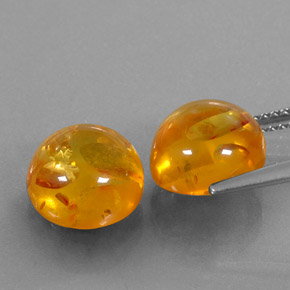 Achetez naturel ct orange ambre gems, transparent, en provenance pologne chez gemselect. en stock, livraison internationale!